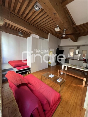 appartement à la location -   69001  LYON 1ER ARRONDISSEMENT, surface 40 m2 location appartement - UBI458662235